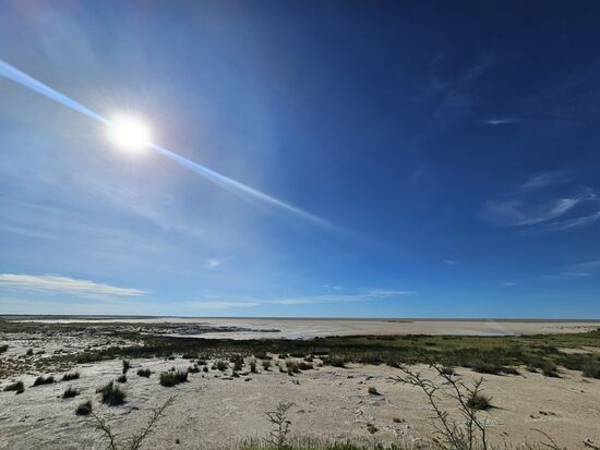 Die Umleitung führt direkt an der Salzpfanne entlang. Wieveiel Salz werden die Pflanzen dort vertragen müssen ?