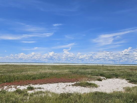 Salzwiesen in diversen Farben, der Blick nach Osten zeigt Wolken, die sich schnell vergrößern
