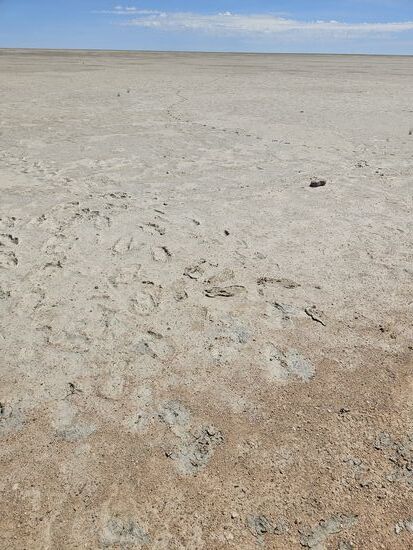 Von den Schuhsohlen ist das Zeug nicht abzukratzen, es bleibt an den Händen wie grober Kaugummi