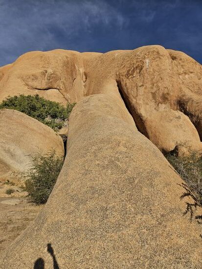 Wie ein riesiger Elefantenschwanz