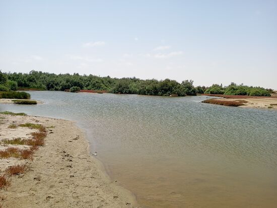Extrem salzig, ohne jede Lebewesen. Da muß immer wieder Brandung reingeschwappt und dann vedunstet sein, Ähnlich wie in den Salzgewinnungsanlagen an der Küste nördlich und südlich.