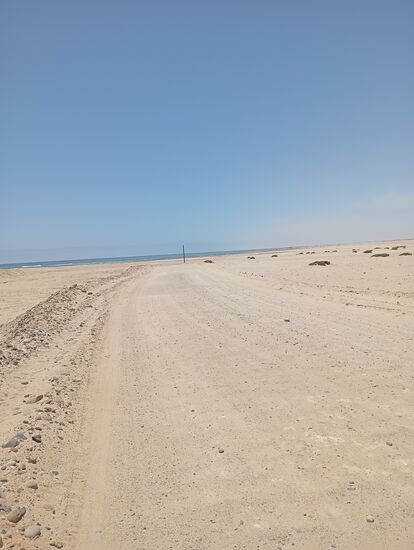 Man sieht den Küstensaum, hört sogar das Rauschen der Brandung, doch ich komme nicht näher ran, der Weg führt weiter nach Norden - in die Unendlichkeit ?