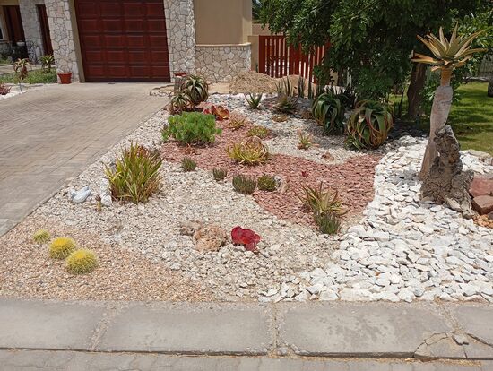 Mit Wasser muß man sparsam umgehen, Gras würde zu viel verbrauchen. Aber so muß jede Pflanze von Hand gezielt mit Flüssigkeit versorgt werden, dafür sorgt das Personal, wenn die Besitzer nicht dort sind.