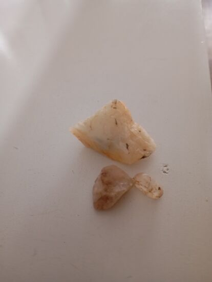 Ich überreiche den beiden einen Stapel Scheine Südafrikanische Rands, die sie begeistert und erstaunt ihrer Mama vozeigen.Zum Aufbewahren überreicht das Mädchen seiner Mama ihre Scheine; der Junge behält seinen Anteil lieber selbst.