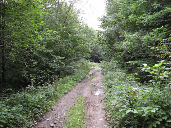 Mountainbikeroute, nur das volle Marschgepäck stört.....