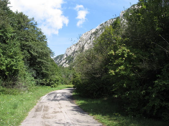 Dahinter beginnt die Klamm !
