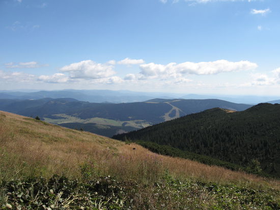 Kurz vor dem Ziel...