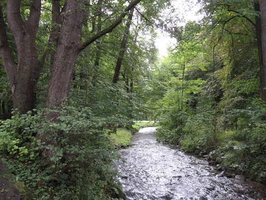 Im Park von Tercianske Teplice