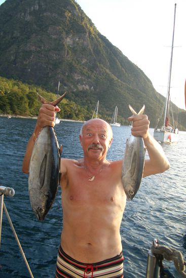 Solche Fische kann man hier fangen! (Aber dazu braucht man Profis.....)