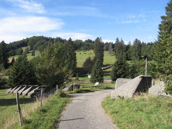 Hier muß die Grenze in der Nähe sein....