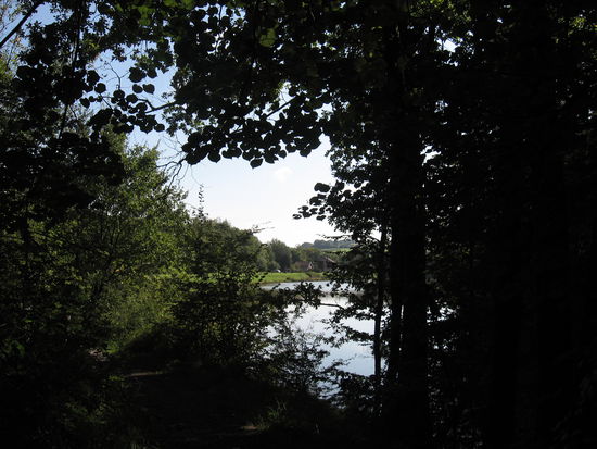 Sollte es die Scheitelhaltung werden ? Der Kanalsee ist ein einsamer Rastplatz, der ganz versteckt liegt.