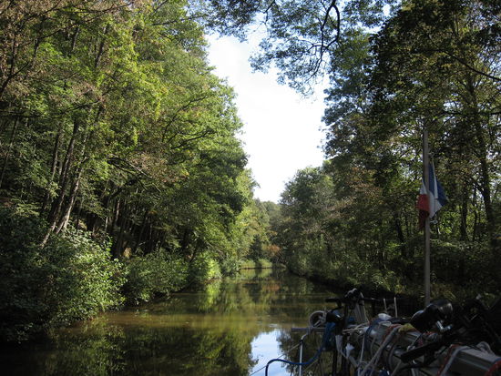 Auch durchs Dickicht geht es weiter