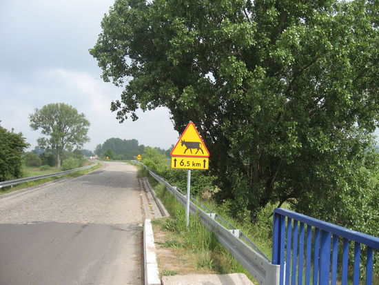 Holperiger Weg durch landwirtschaftliche Nutzflächen statt Leinpfad am Kanal