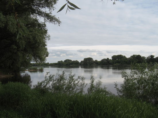 Blick auf die Weichsel bei Thorn, ein unregulierter Fluß ohne Buhnen und Uferbefestigungen, dafür mit vielen Untiefen