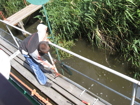 Auf Gongschlag wird gestartet, früher mit Pferden, heute mit Dieselantrieb
