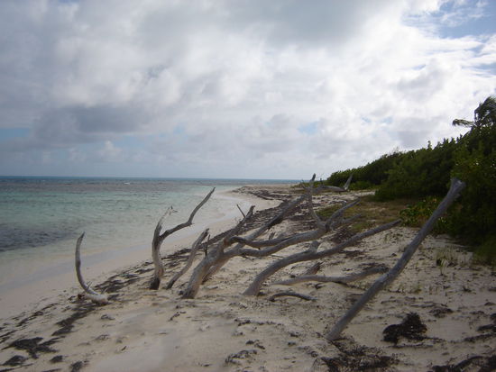 ....und so am Südstrand der Insel Barbuda
