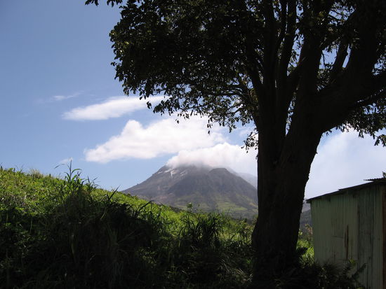 Das Erinnerungsfoto mit leichtem Gruseln