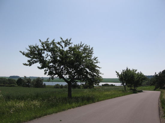 Der Grenzverkehr tendiert gegen Null, aber die Straße ist tipp topp asphaltiert