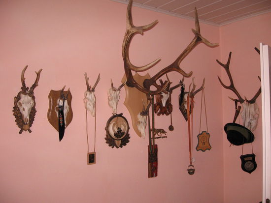 Jans Jagdtrophäen. Sein anderes Hobby, die Imkerei,  lernen wir zum Frühstück kennen, ein Genuß!