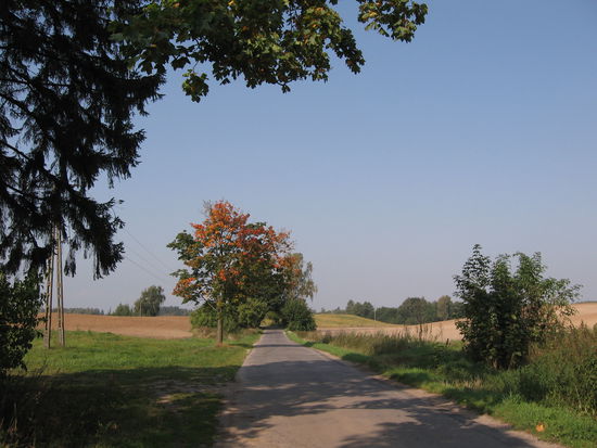 Solche Radwege lieben wir!