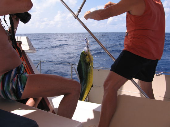 Der erste Fang der Reise wird akribisch im Bild festgehalten