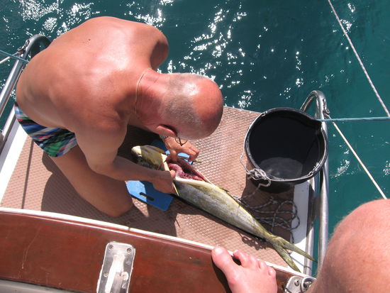 Das Zerlegen ist Wolfgangs Lieblingsbeschäftigung, er kann's auch am besten. Die Zubereituung am Herd ist AnnMarie vorbehalten