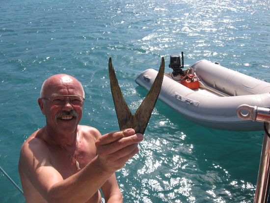 Die Trophäe wird am Heck in den Wind gehängt, wie wir es bei anderen Yachties auch schon gesehen haben, sie bleibt hoffentlich nicht die einzige