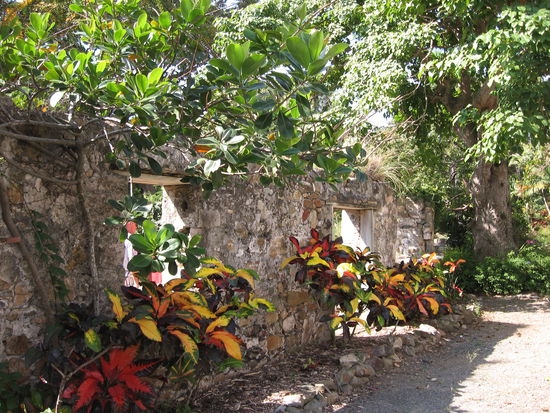 Erstes Ziel ist ein botanischer Garten. Früher eine Hazienda eines Großgrundbesitzers. Nur die Ruinen sind noch zu sehen, doch weil ein Bach die Mühle des Anwesens betrieben hat, gibt es feuchte Niederungen und sehr trockene Bereiche, auf denen man alle hier vorkommenden Pflanzenarten präsentieren kann