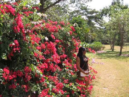 Bei dieser Farbenpracht  muss AnnMarie mal fürs Foto posieren!