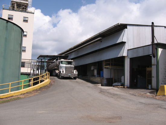 Per Tanklastzug wird der Rum abgefahren - in der Karibik muss Rum in Strömen fließen!