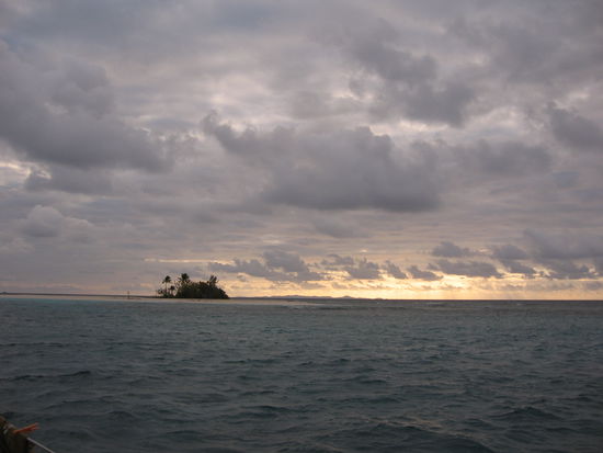 Nur 50 Meter von unserem Ankerplatz ist das Riff trockengefallen. Unser Echolot zeigt aber noch 5 Meter!