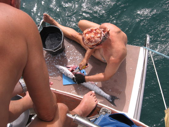 Die Badeplattform wird zur Schlachtplatte. Ein Barrakuda wird tiefkühlgerecht zerlegt, die andern werden wir auf Culebra anbieten