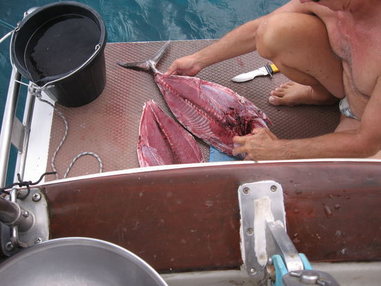 Jetzt werden ein paar Bierdosen aus dem Kühlschapp raus müssen, um Platz zu schaffen für Thunfischdelikatessen