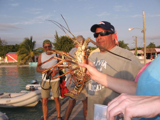 Reklameprozeduren beim Abschlachten. Wir meinen, vor Jahren hier aber deutlich größere Lobster gesehen zu haben. Der Raubbau ist wohl schon in vollem Gange.......