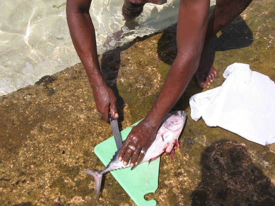 und der wird uns gleich mundgerecht zugeschnitten