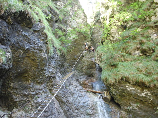 sollte man es lassen. Gegenverkehr darf es ohnehin nicht geben.