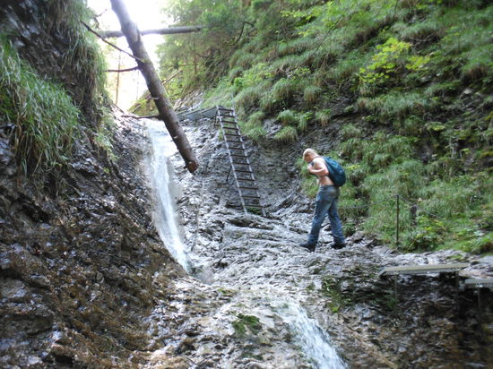 Man müßte sich mal erfrischen können. Aber am Wasser ist es zu glitschig