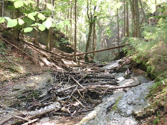 bei heftigem Regen muß es hier ja wild zugehen