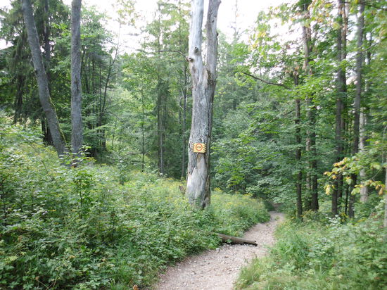 Angekommen ! Ein Blick zurück; Abwärts darf man da nicht runter !