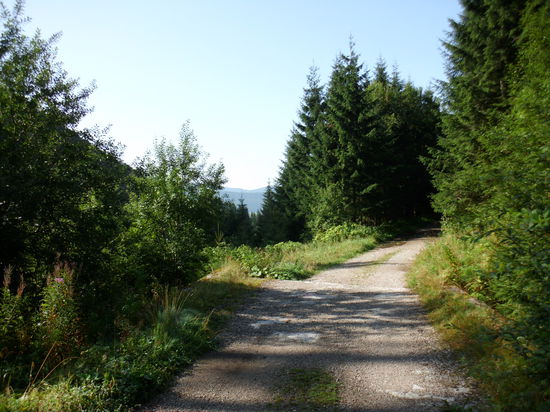 Trotz des gestrigen Regens zeigt sich heute morgen kein Wölkchen am Himmel