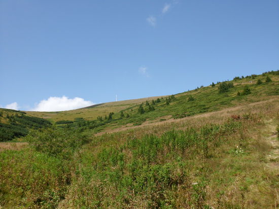 Oberhalb der Baumgrenze