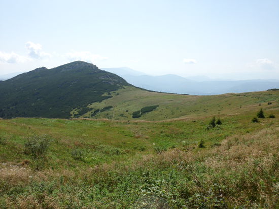 Über diesen Hügel wollen wir den Rückweg machen.