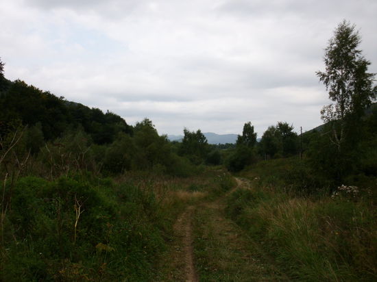 Ich muß zugeben, dass ich mal eine Abkürzung gewählt habe, weil eine Wanderwegmarkierung dort zu sehen war und es dort weniger steil bergauf ging. Irgendwohin muß ja auch dieser Weg führen.