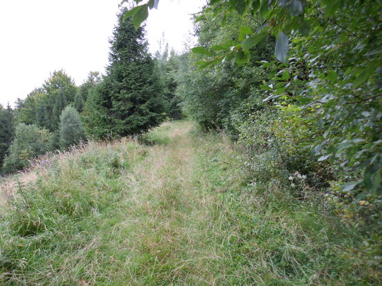 Jetzt hilft nur noch schieben, um auf die Straße zurückzukommen. Ein Bauer zeigte mir, wo es lang geht: steil bergauf, das geht selbst beim Schieben an die Substanz !