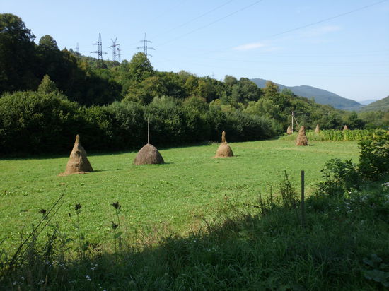 Trotz der intensiven Sonnenstrahlen kann gemähtes Gras nur zu trockenem Heu werden, wenn es von Hand über Nacht zu solchen Stauden aufgestapelt wird und am nächsten Vormittag von Hand wieder in die Sonne ausgebreitet wird.