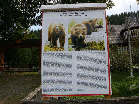 Bären sollen vor allem im Winter in den Bergen leben. Im Schutzgebiet darf es wegen der Bären keine Abfallkörbe geben, die würden die Bären zum Plündern anlocken. Die Kehrseite ist leider sehr viel Müll an den Rastplätzen, der selbst im Park nicht weggeräumt wird.