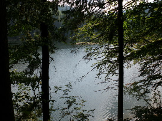 Fast ganz oben der einzige See in den Karpaten, das Ziel unzähliger Wanderer, wie man an den ausgetretenen Pfaden und - leider - in den Nischen am weggeworfenen Müll erkennen kann.