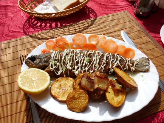 Forellen fisch aus diesem See sind eine Spezialität, die ich mir nicht entgehen lasse. Mit Bier für 8 Euro.