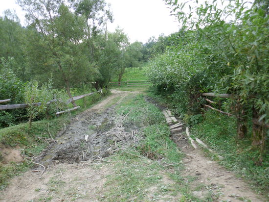 Ein Trecker oder ein Geländewagen hat hier Spuren hinterlassen. da müßte man doch auch mit dem Rad noch durchkommen. 
Aber nur mit Schieben!