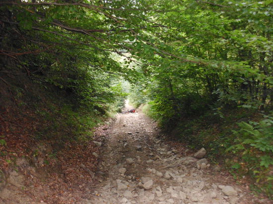 Nein, das kann so nicht gehen! Steigung von mindestens 25 % und dann solche Steine, das kann nicht gutgehen. Also umkehren!